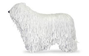 Komondor dog names