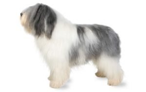 Polish Lowland Sheepdog dog names